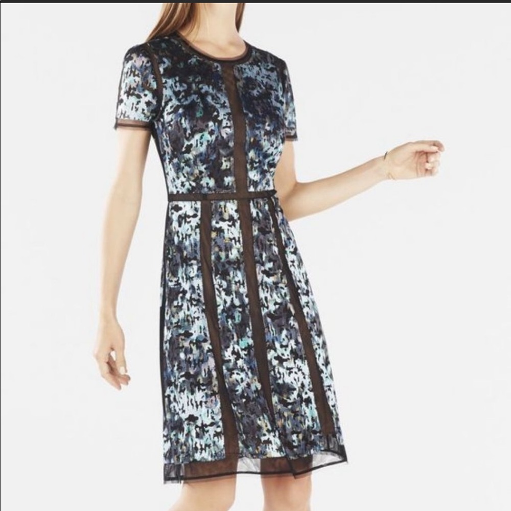 BCBG Adalina size 6 Floral Velvet Dress Sheer